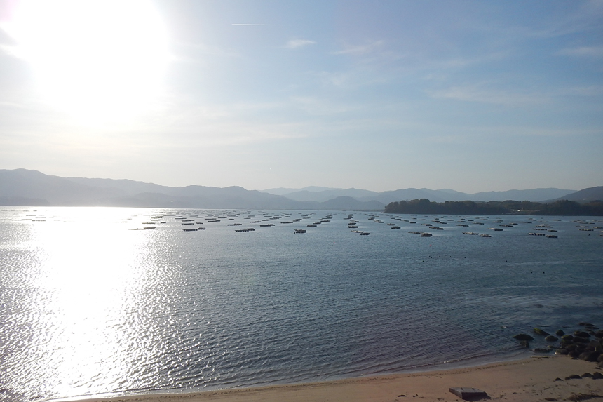 被災地の声 まだ気持ちのやり場がない 他力本願 Net 人生100年時代の仏教ウェブメディア